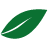 NATURIGIN.com logo