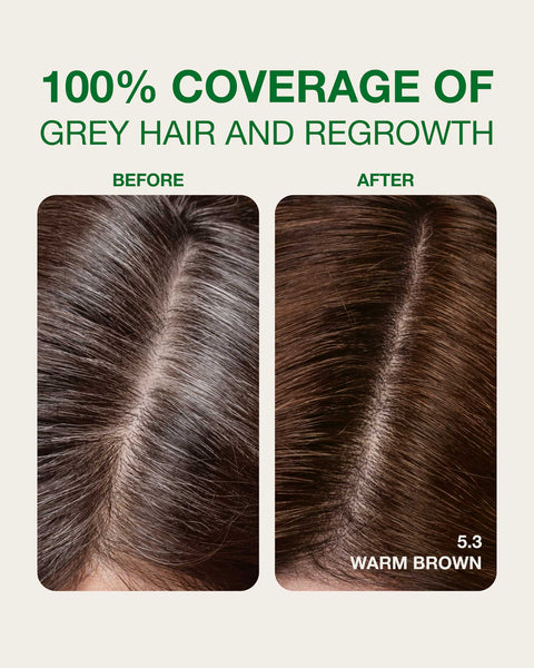 Warm Brown 5.3