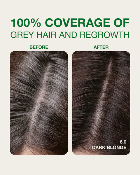 Dark Blonde 6.0