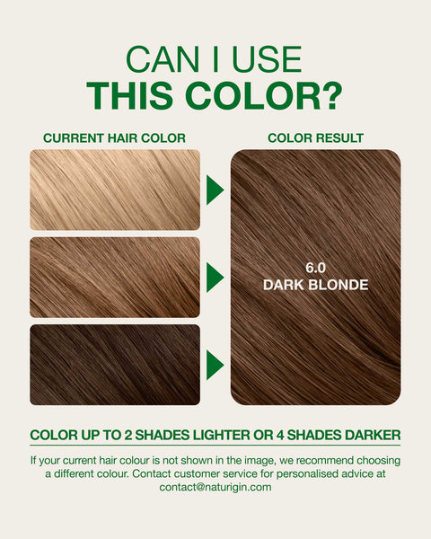Dark Blonde 6.0